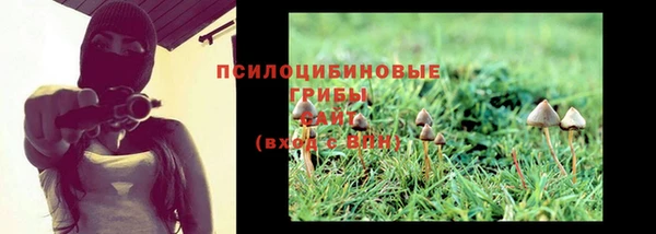 мдпв Заволжск