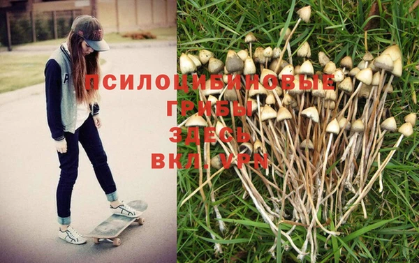марки nbome Елизово