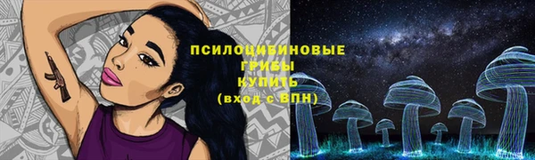 мдпв Заволжск