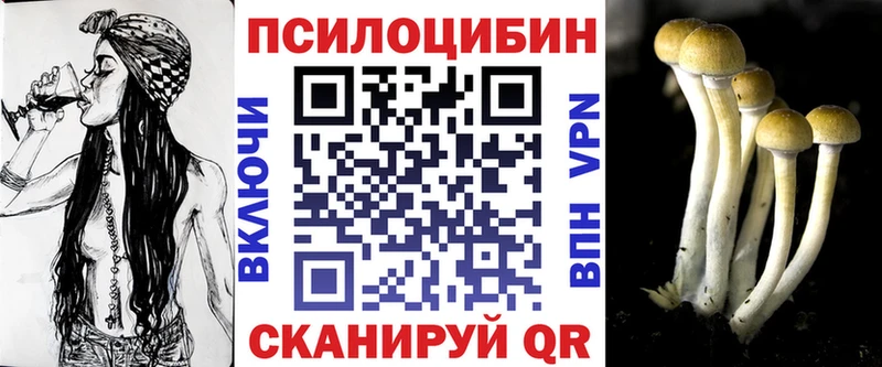 Псилоцибиновые грибы Magic Shrooms Купить где Новоузенск